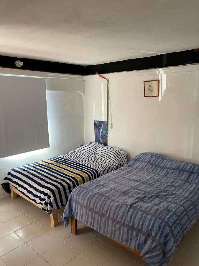 Casa Nova 7 Private Bathroom And Room 2 Beds Cancún Exteriör bild